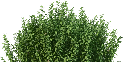 Заголовок